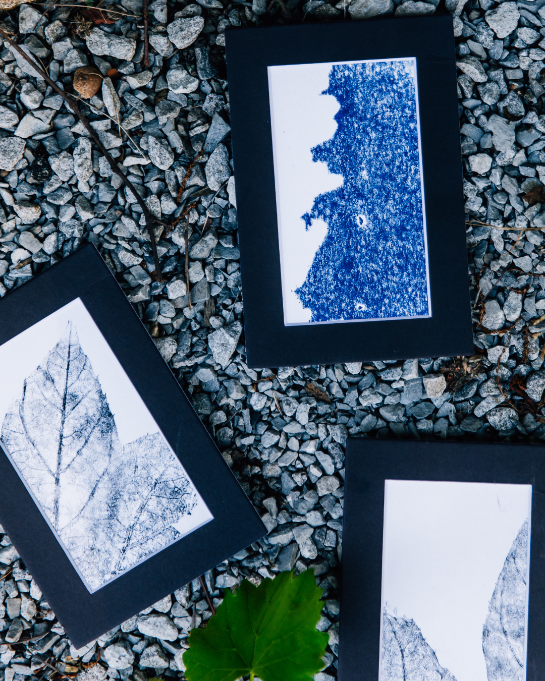 4X6 Botanical Monoprints (Matted)