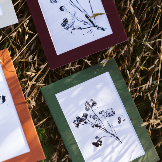 Prints Botanical Monoprints