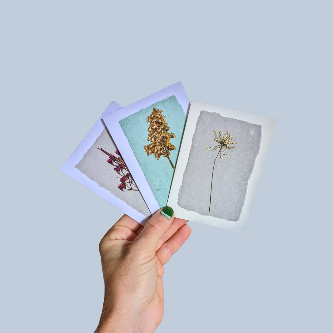 Pressed Flower Greeting Cards (Blank)