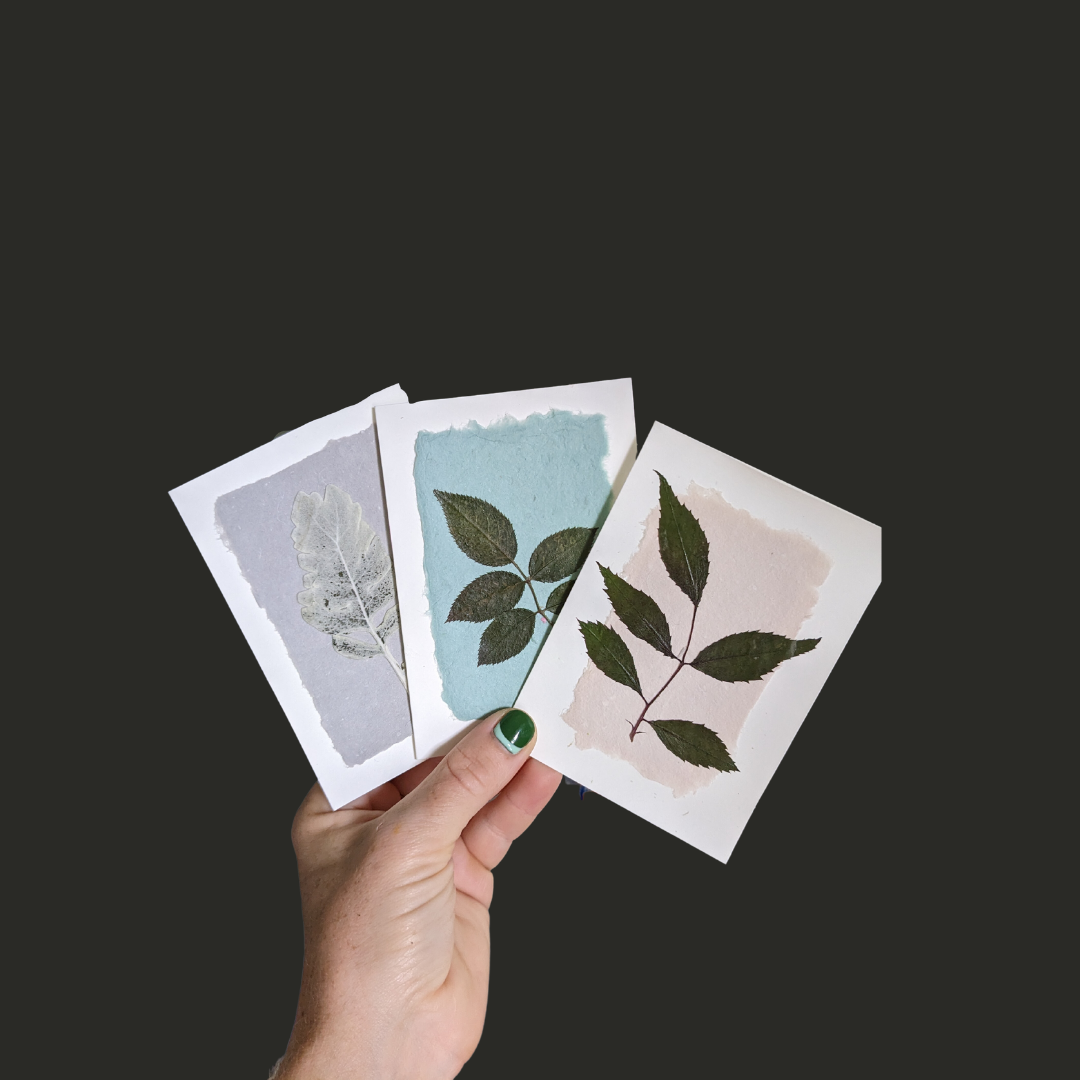 Pressed Flower Greeting Cards (Blank)