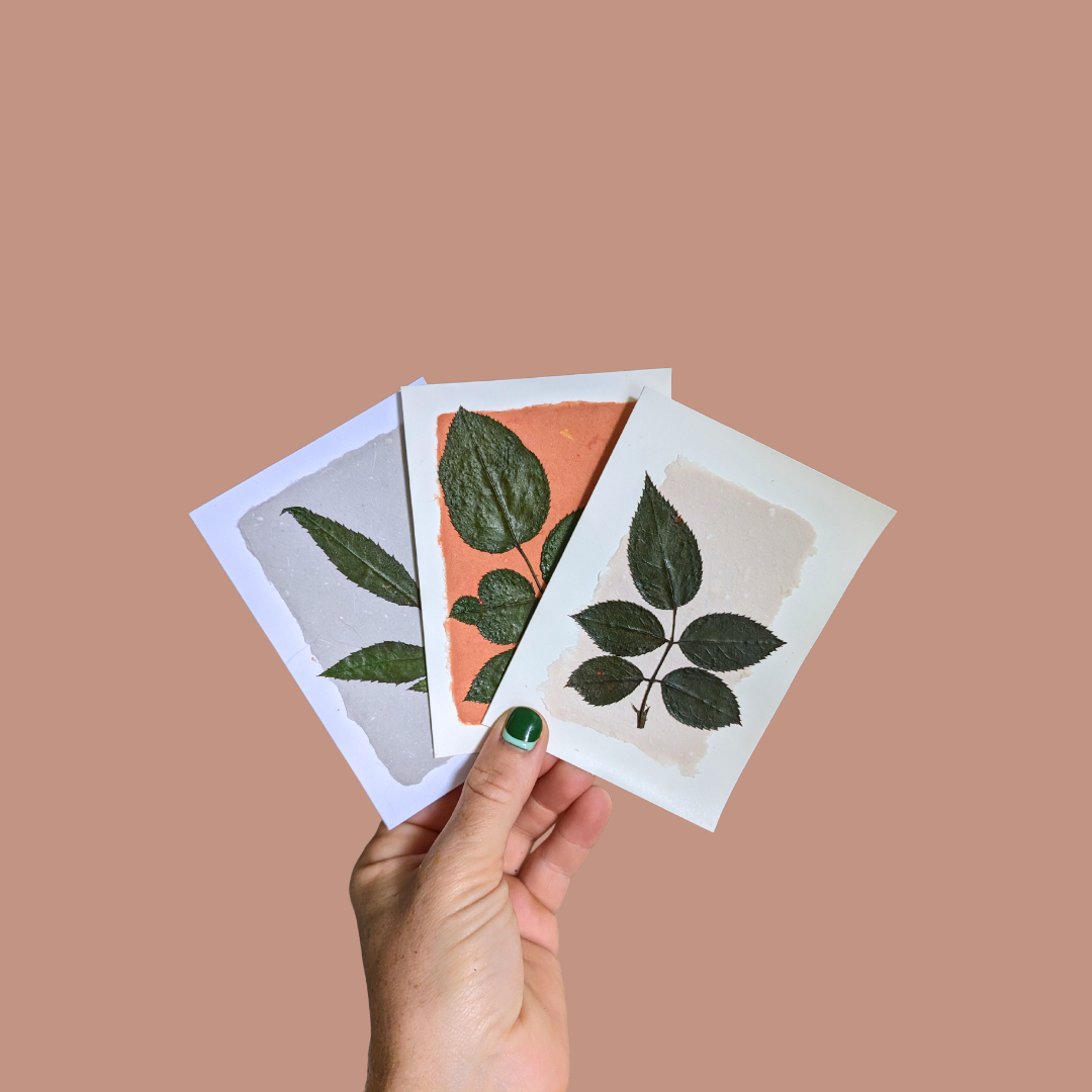 Pressed Flower Greeting Cards (Blank)