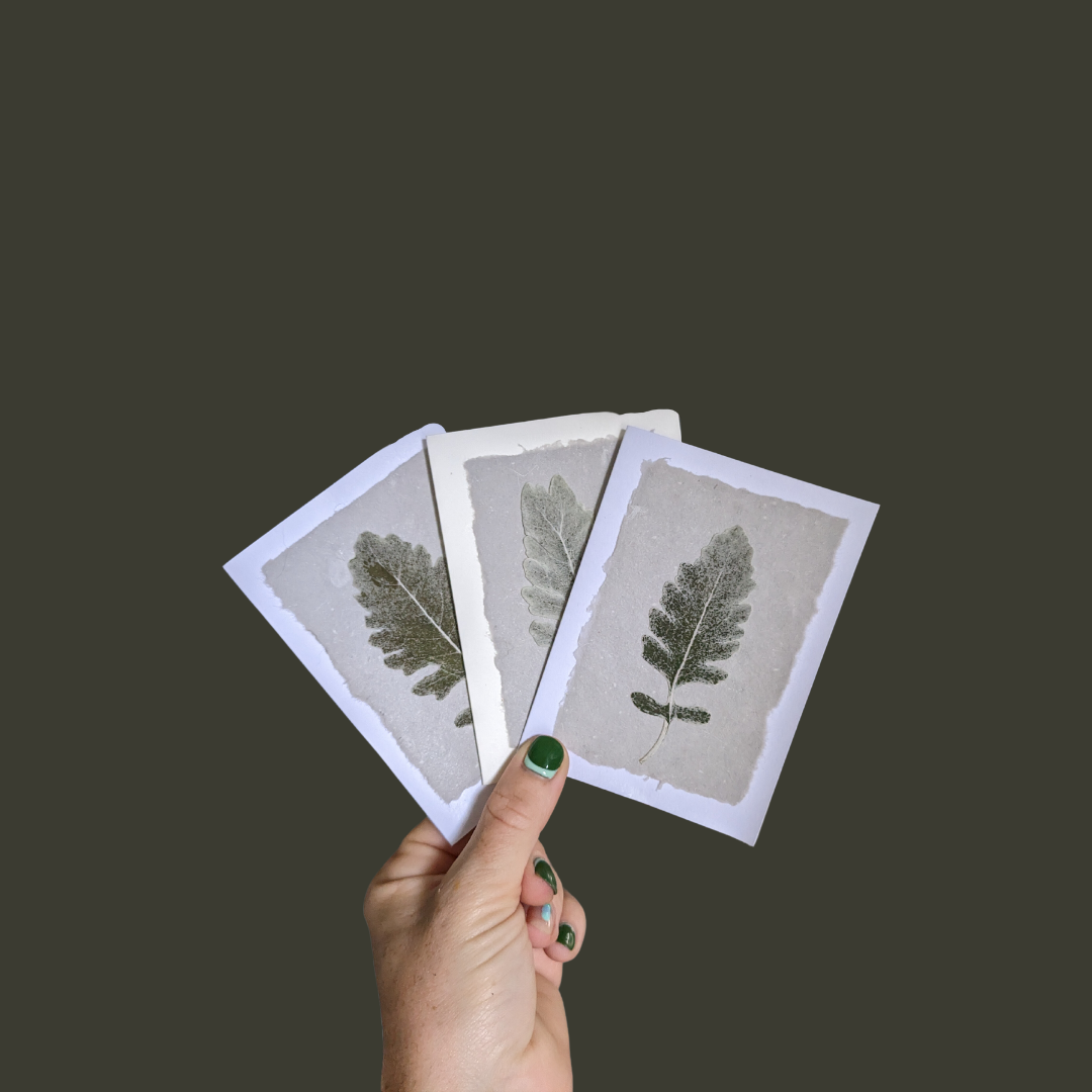Pressed Flower Greeting Cards (Blank)