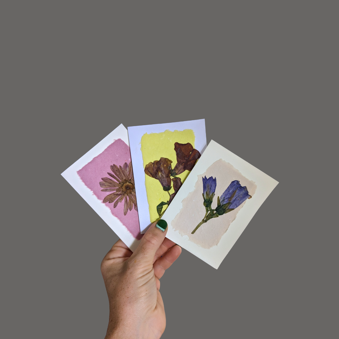 Pressed Flower Greeting Cards (Blank)