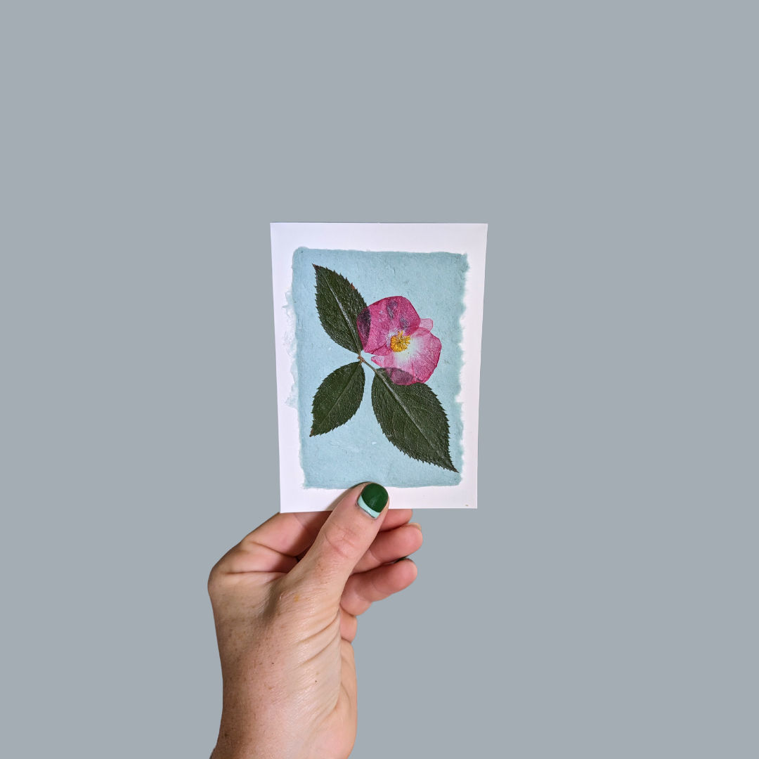 Pressed Flower Greeting Cards (Blank)