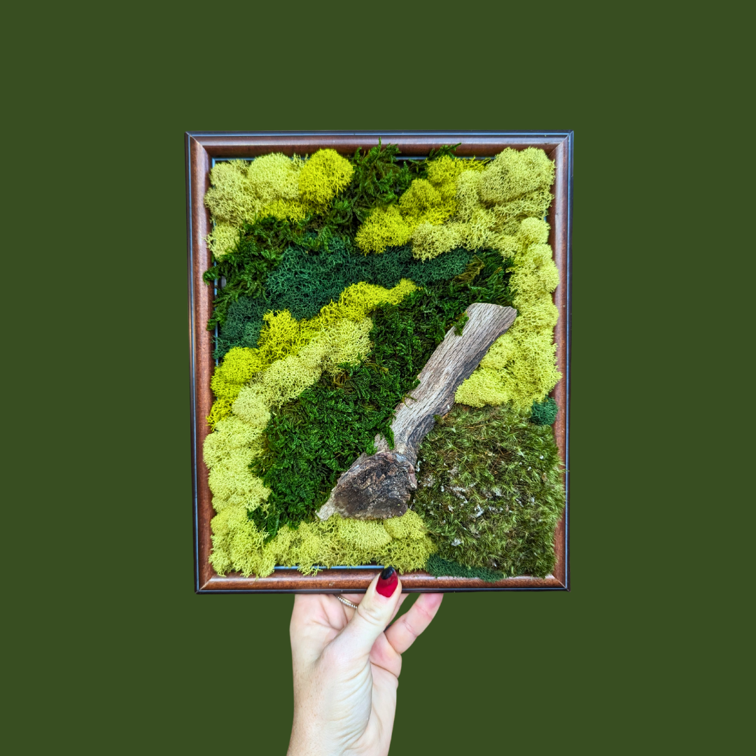 Tree Growth #19