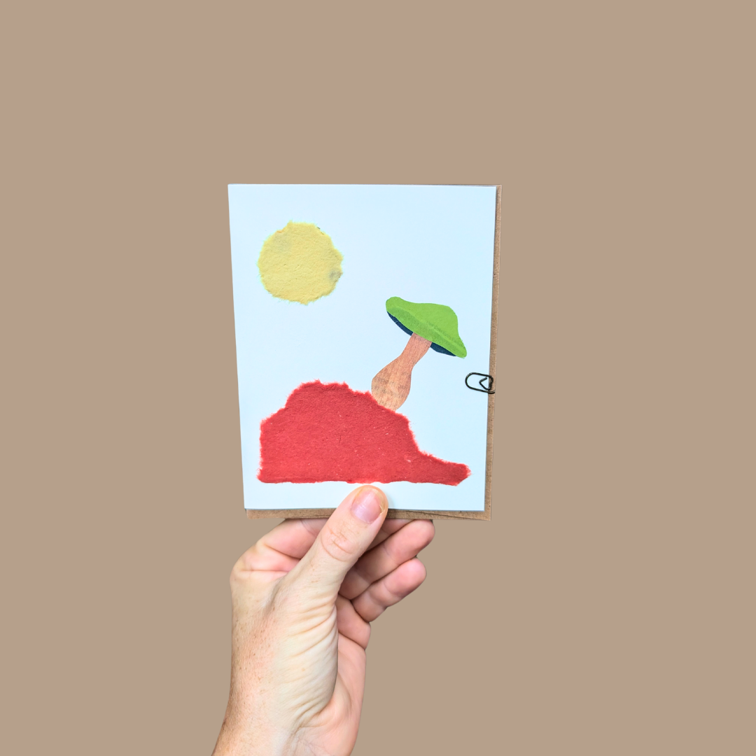 Mushroom Greeting Cards (Blank)