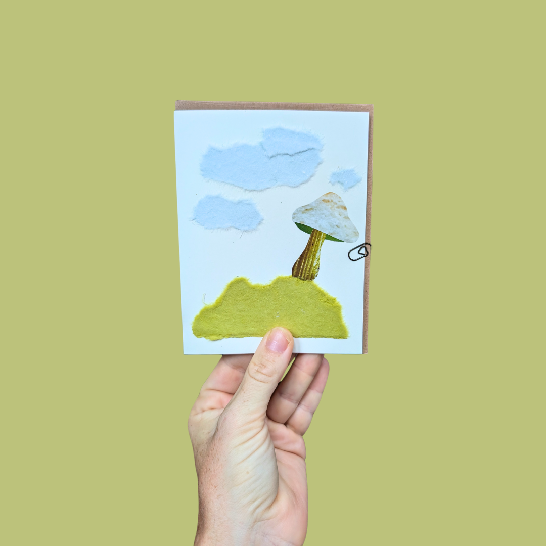 Mushroom Greeting Cards (Blank)