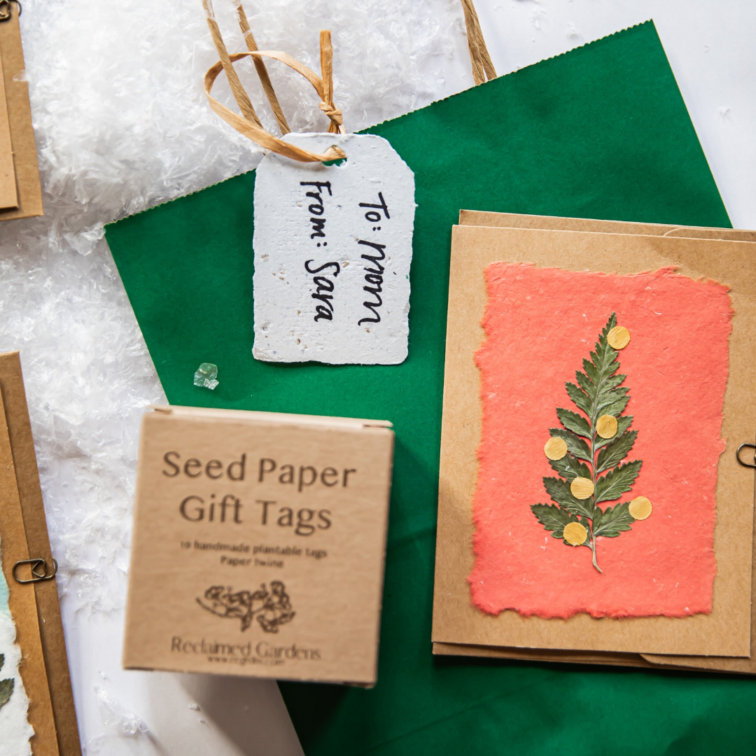 Seed Paper Gift Tags (Set of 10)