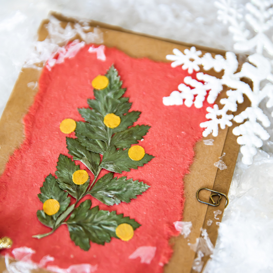 Holiday Greeting Cards (Blank)