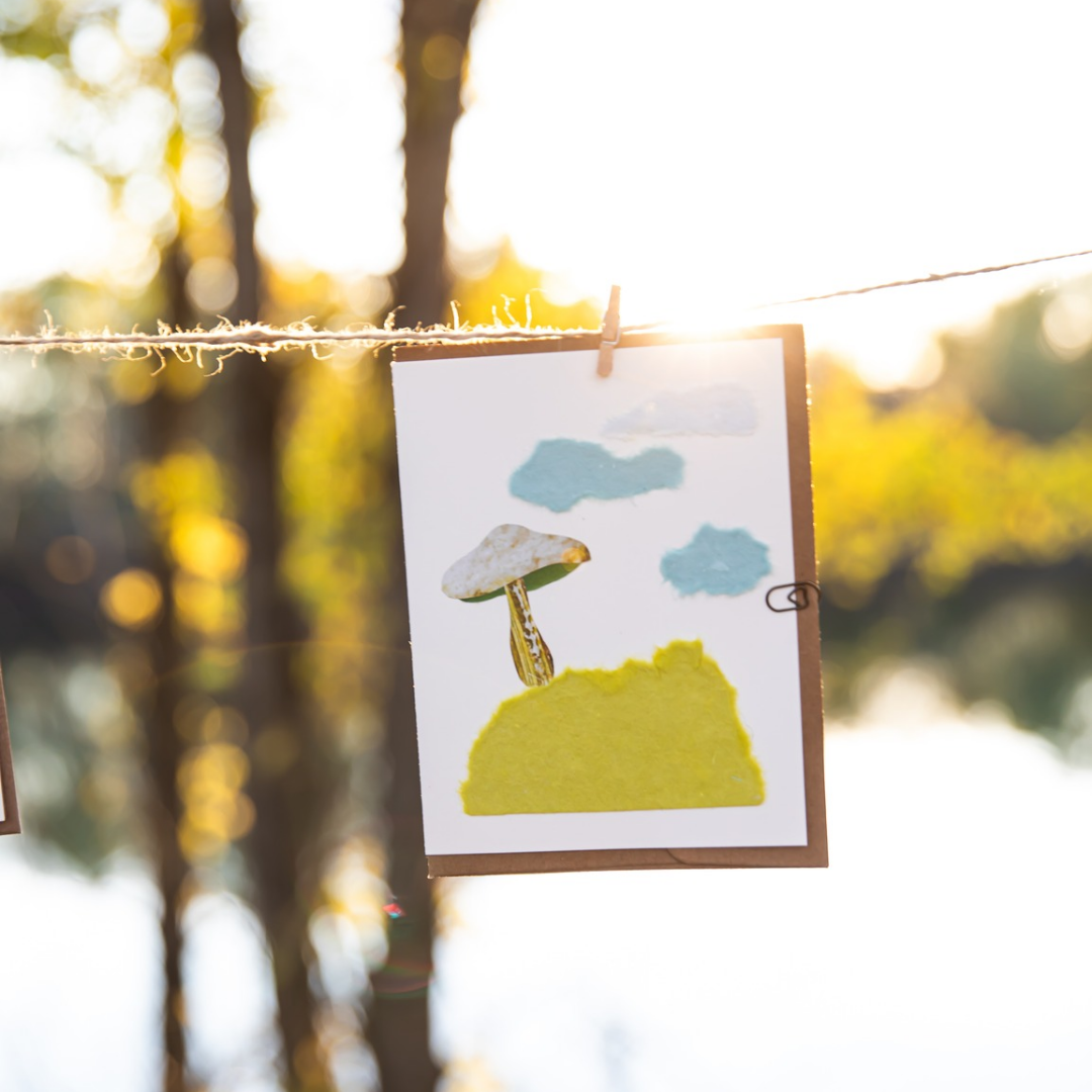 Mushroom Greeting Cards (Blank)