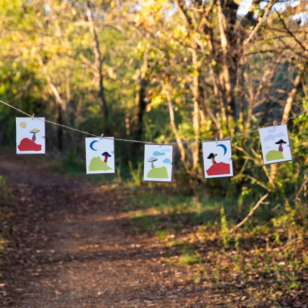 Mushroom Greeting Cards (Blank)