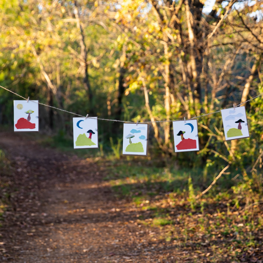 Mushroom Greeting Cards (Blank)