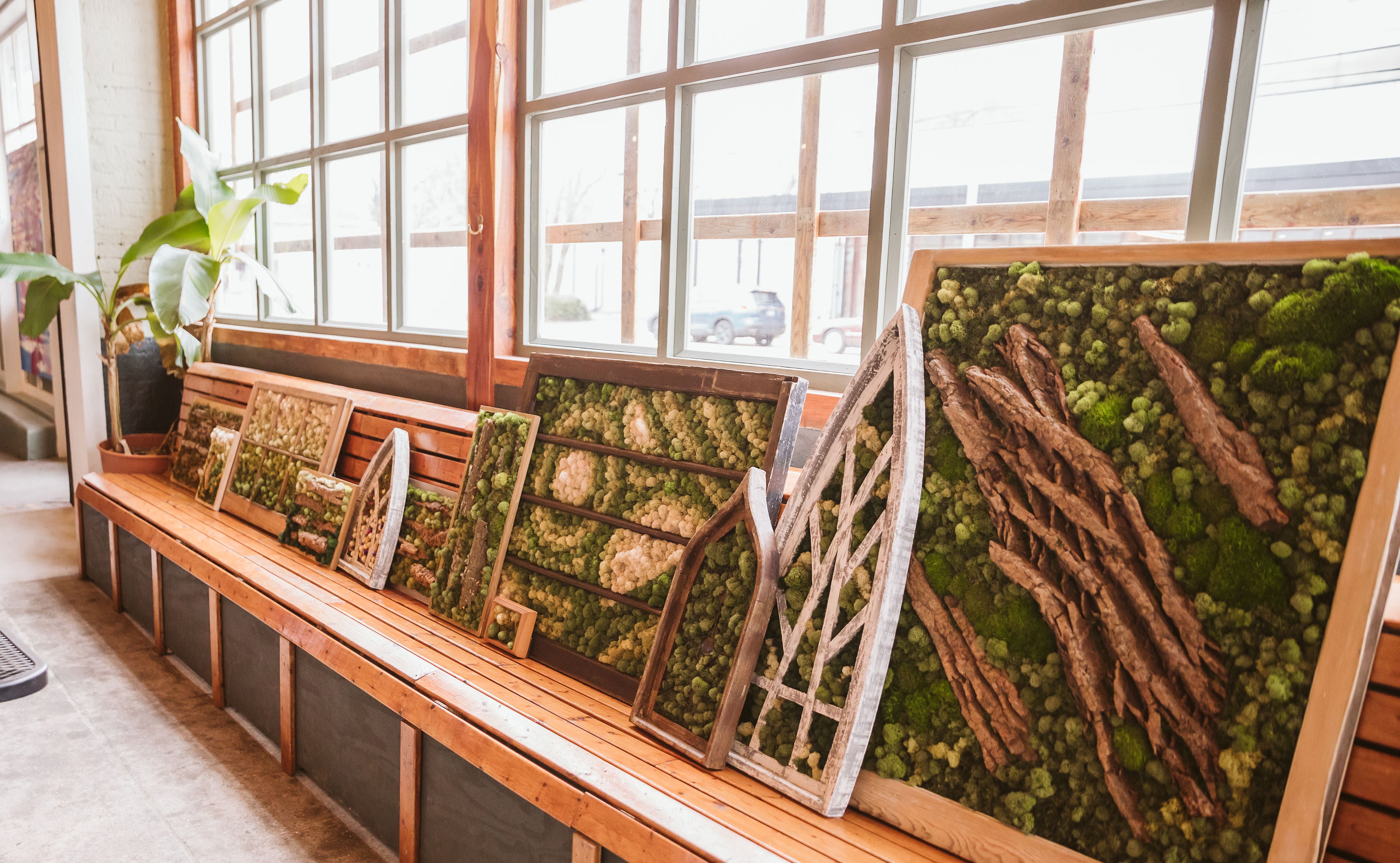 Moss Wall Art