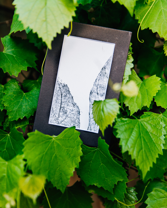 4X6 Botanical Monoprints (Matted)