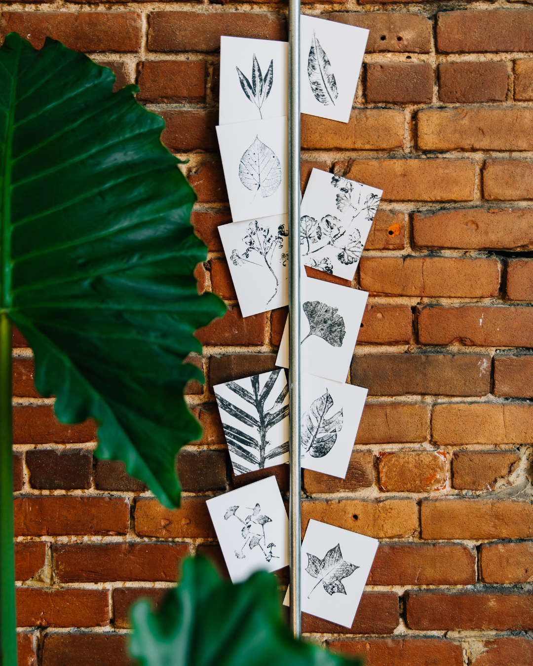Individual Botanical Monoprint Card (Blank)