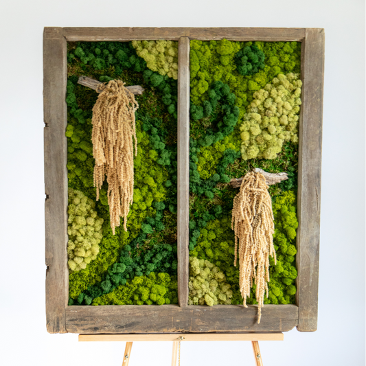 Preserved Moss Amaranthus View