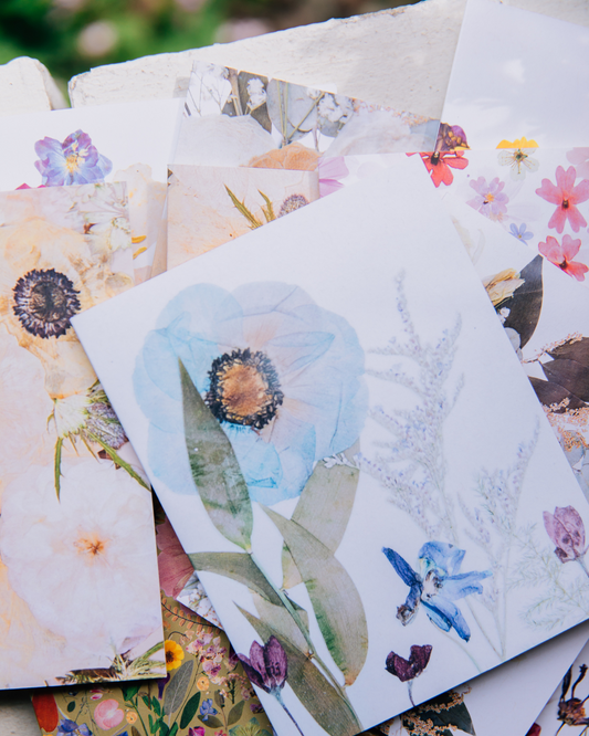 Flower Print Card Collection