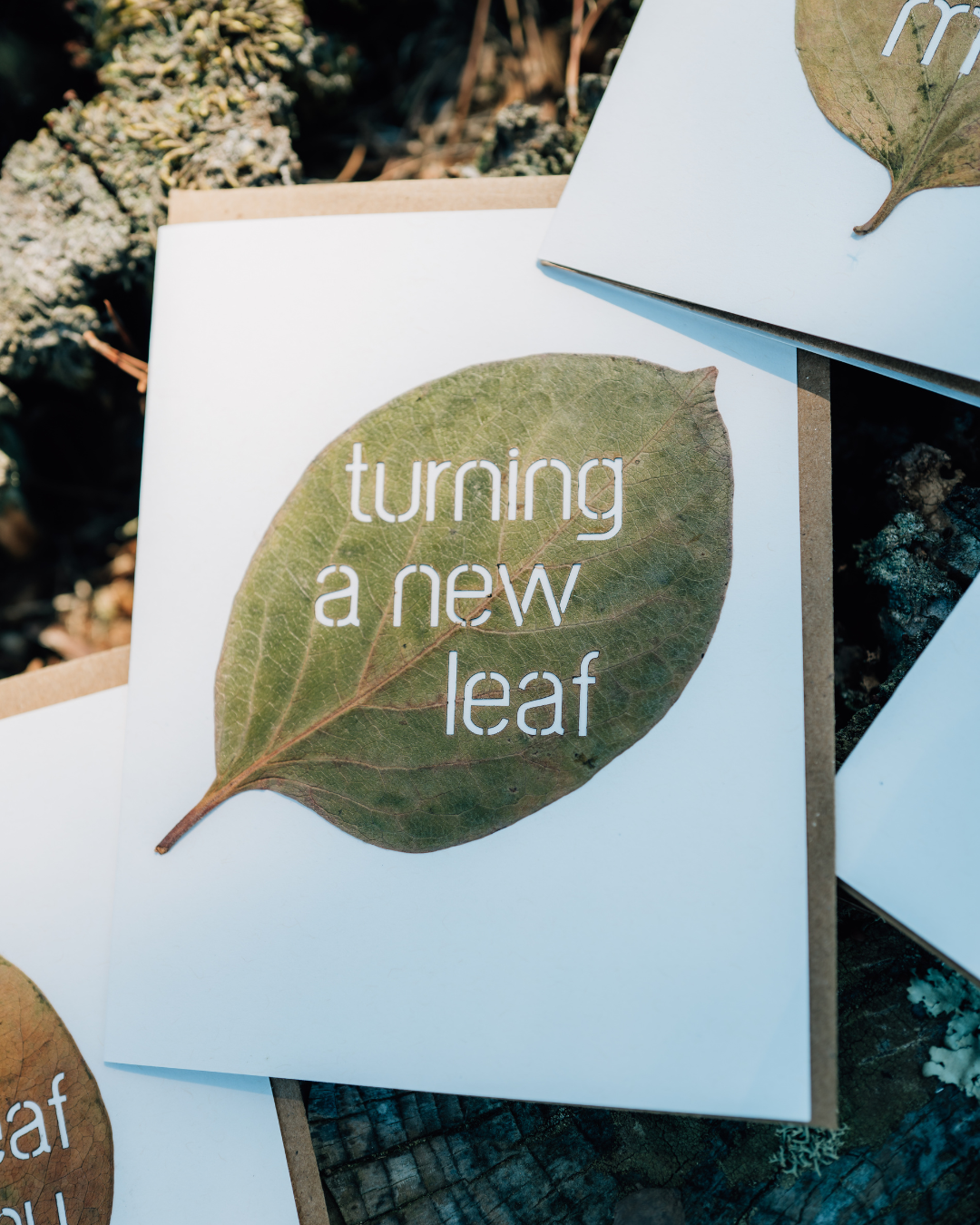 Leaf Note Greeting Cards (Blank)