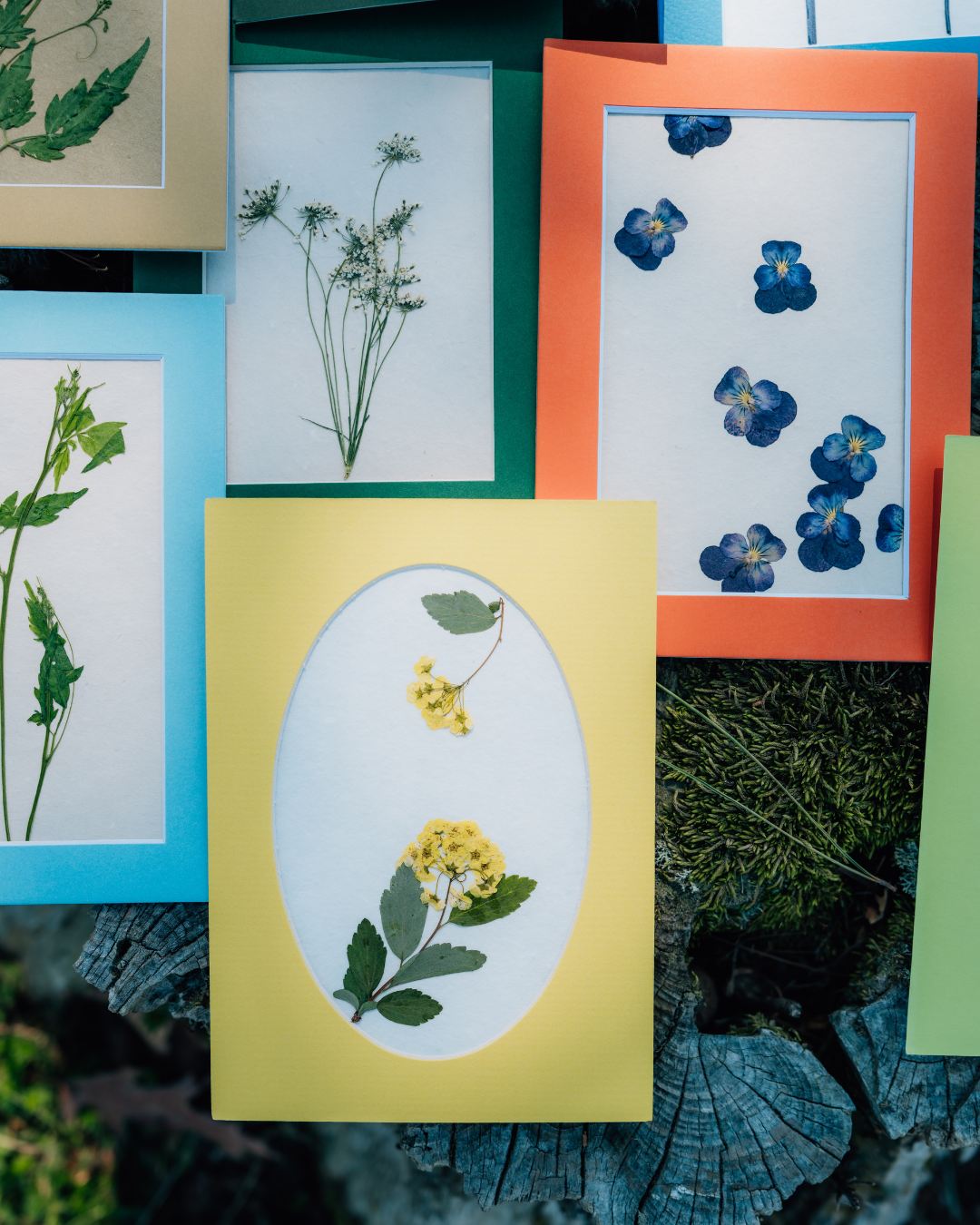 Mini Matted Florals