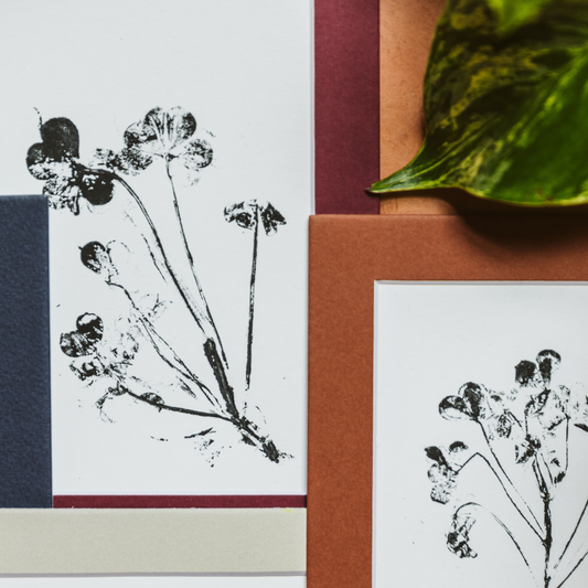 Prints Botanical Monoprints