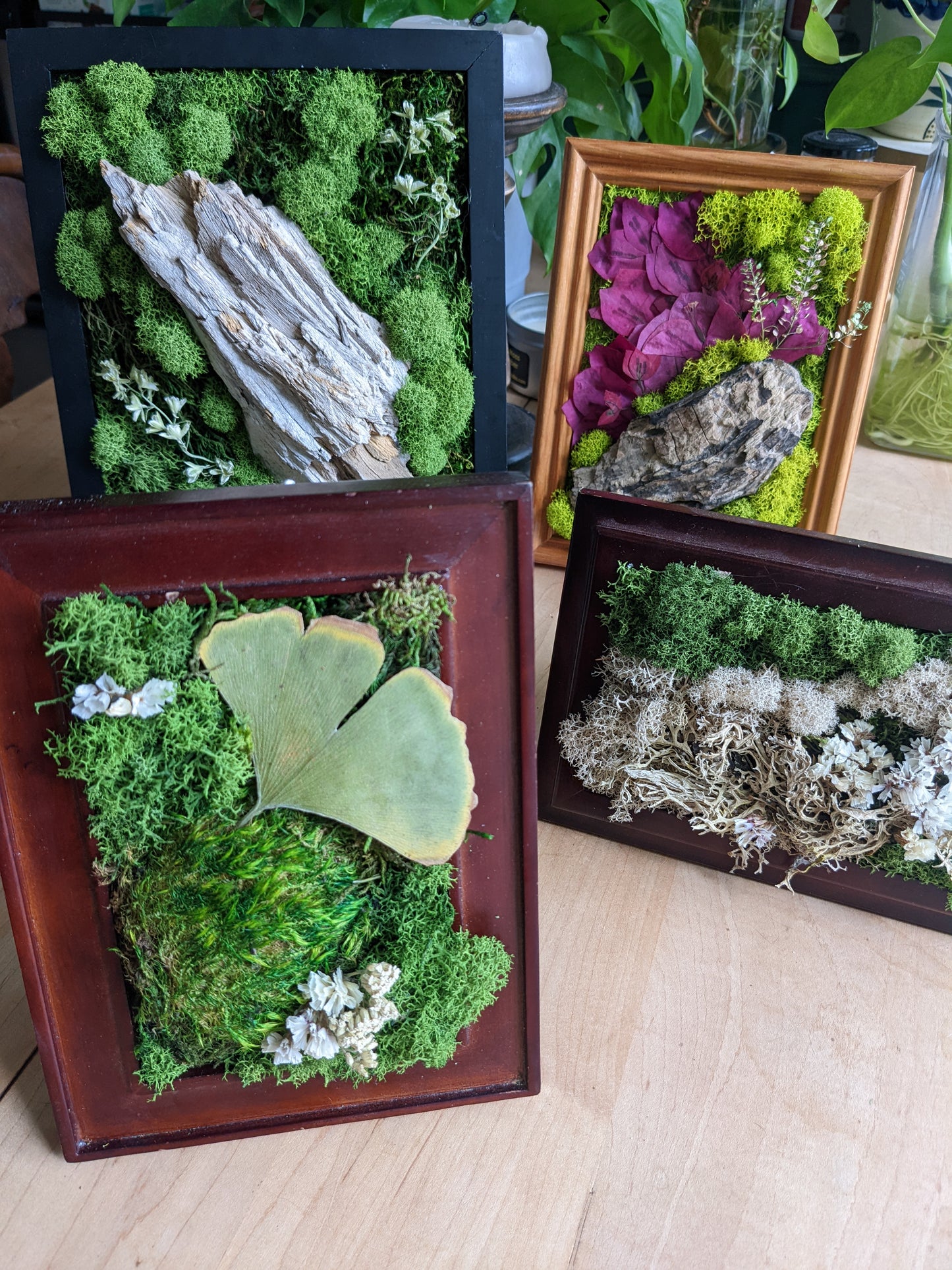 Workshop: Dec 16 Moss Frame Art