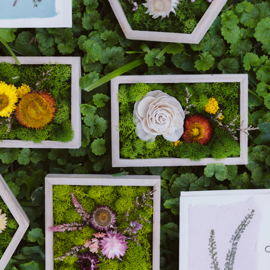 Square Garden