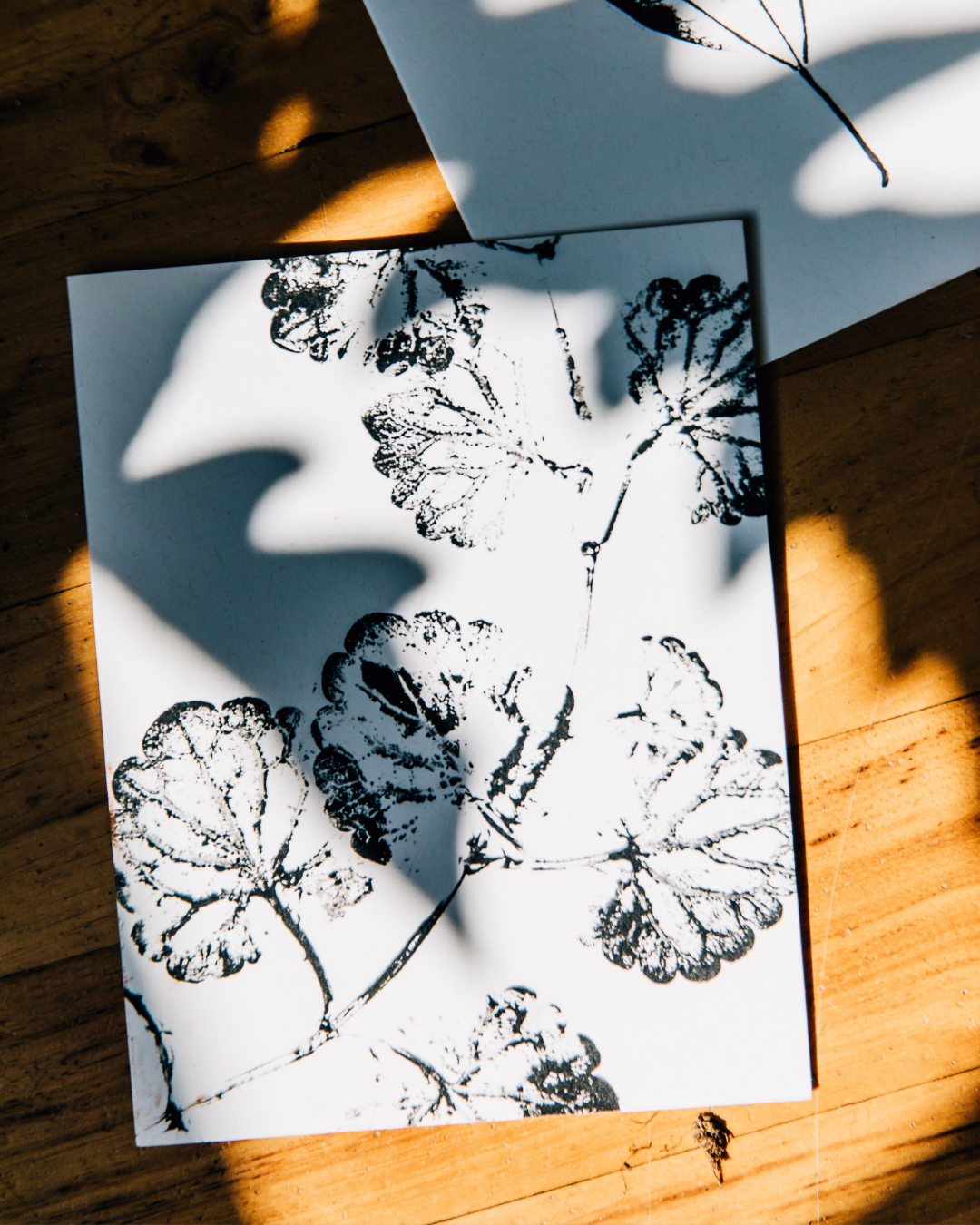 Individual Botanical Monoprint Card (Blank)