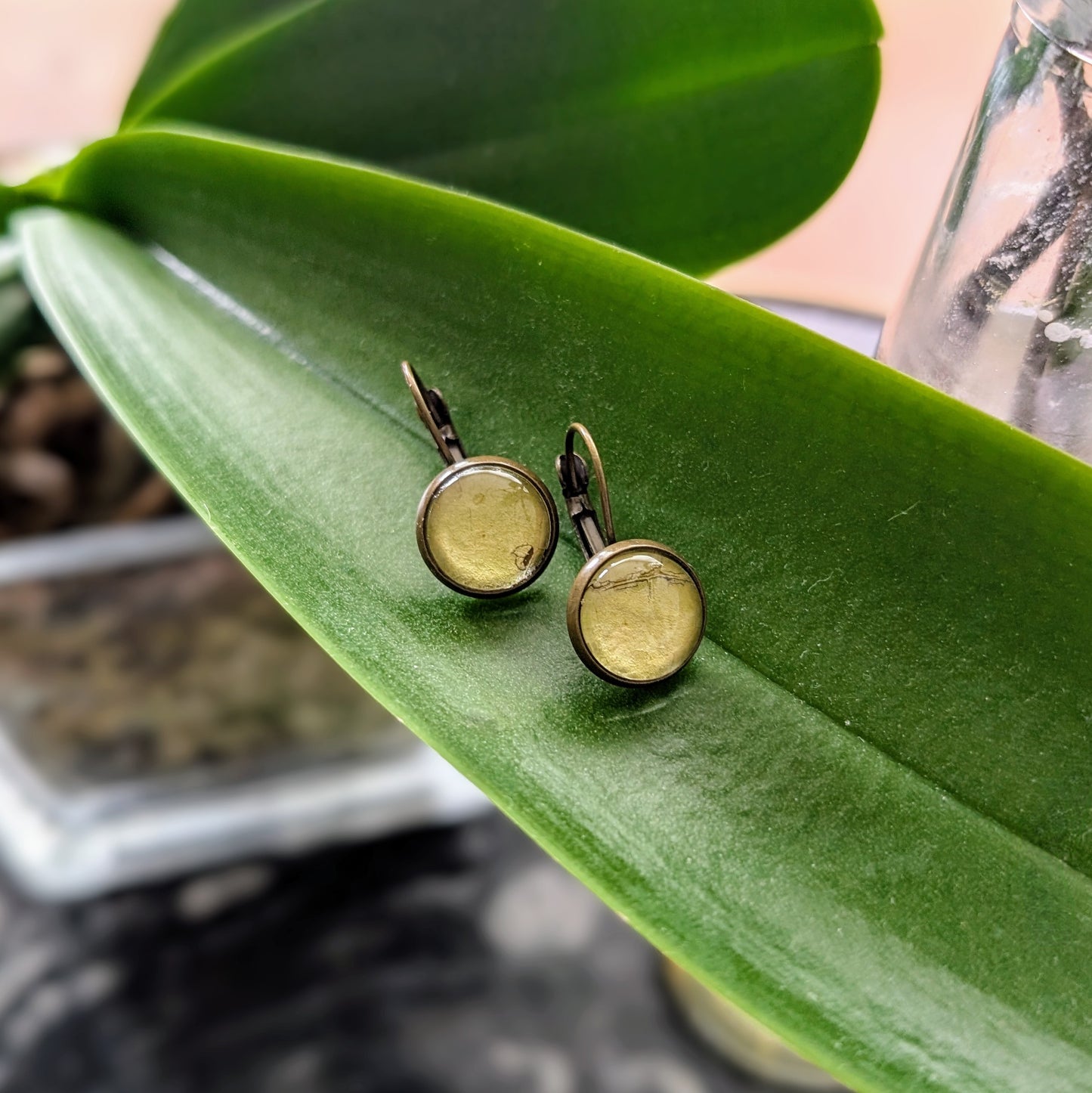 Leaf Drops