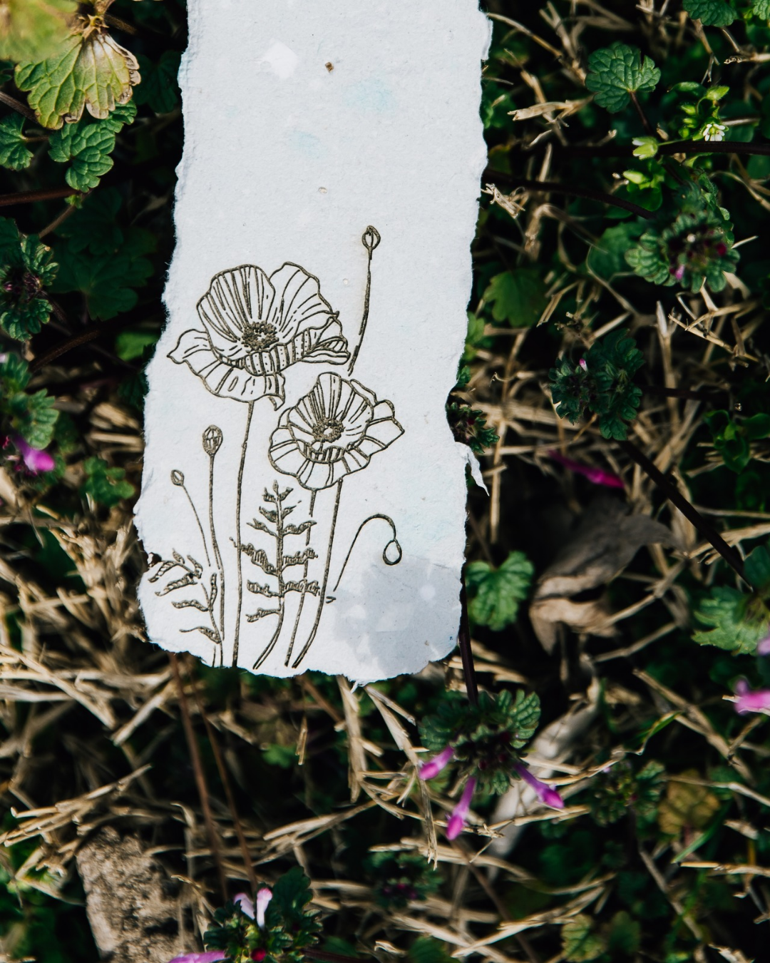 Bookmarks