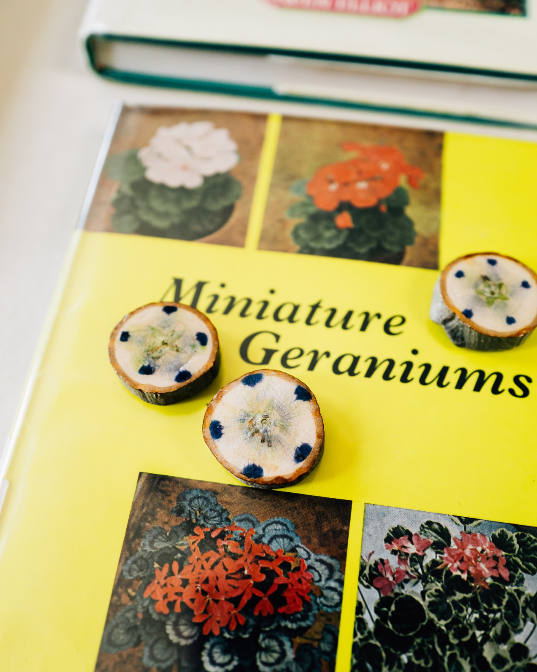 Real Botanical Magnets