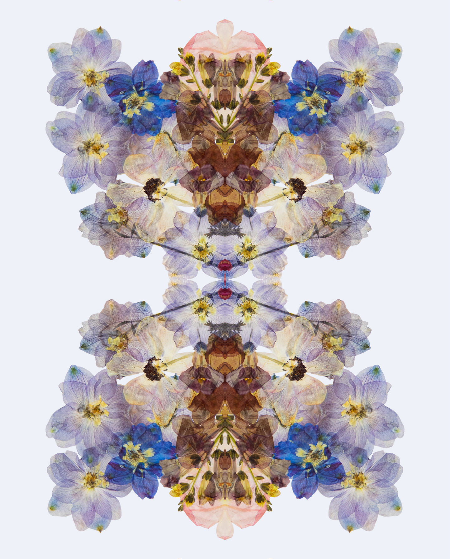 Floral Tessallation #1