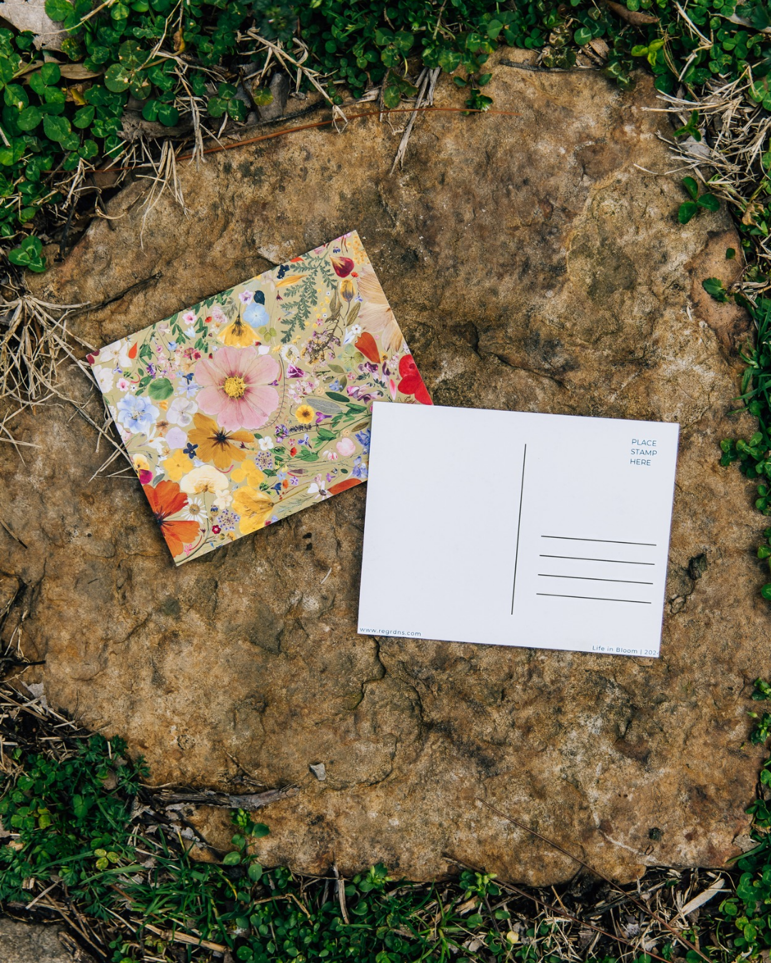 Life in Bloom Postcards
