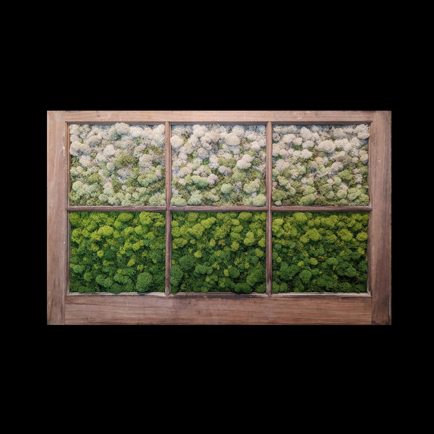Window to the World