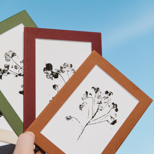 Prints Botanical Monoprints