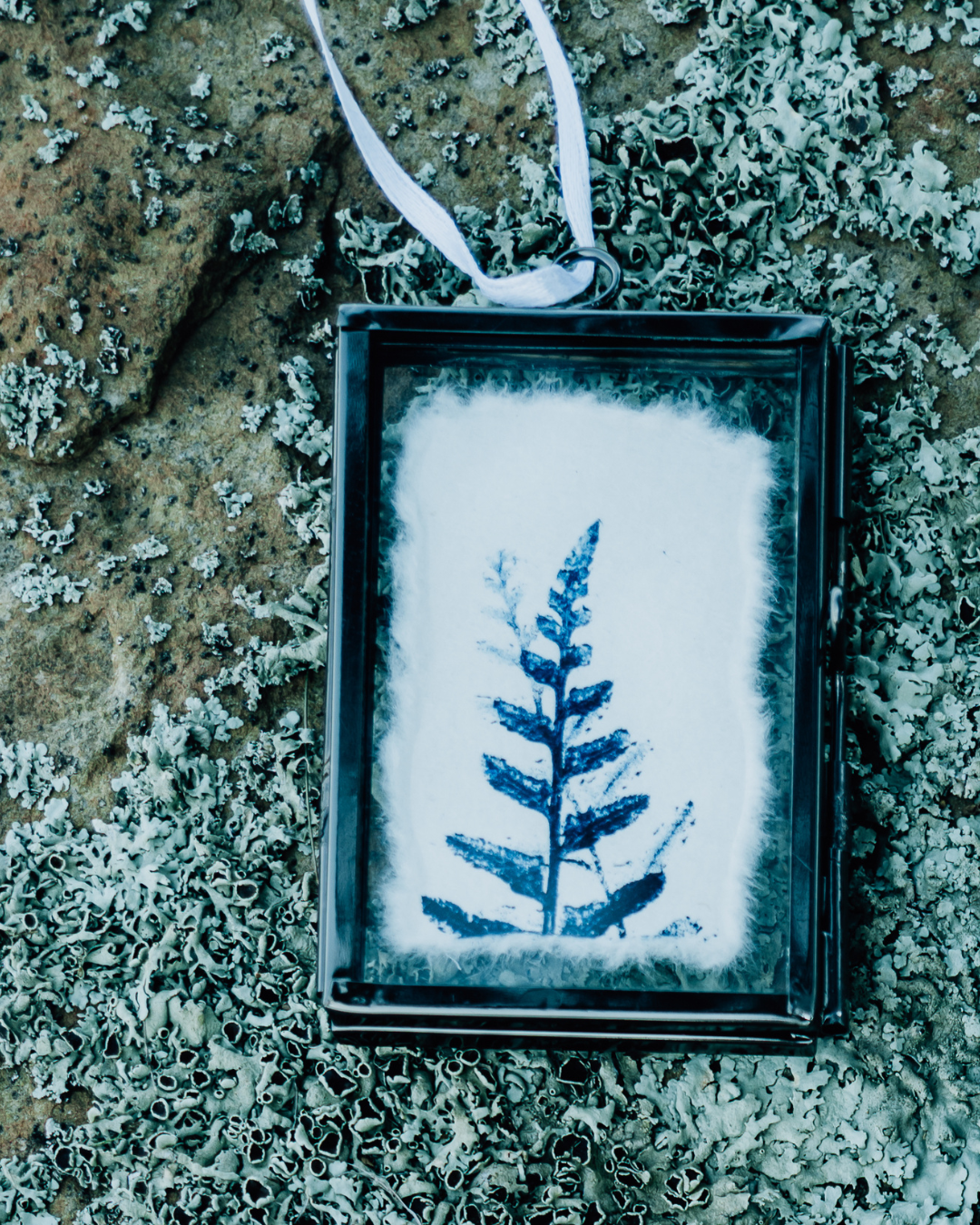 Mini Botanical Monoprints (Framed)