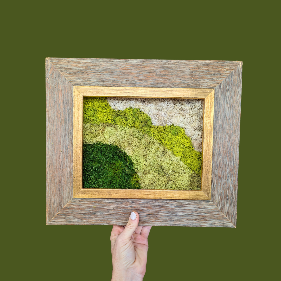 Tapestry #3