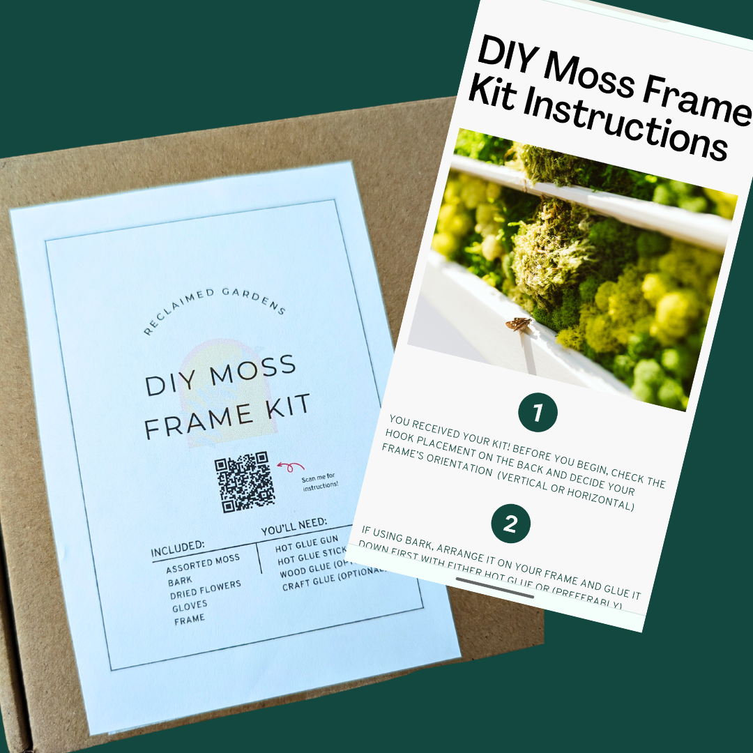 DIY Moss Art Kit