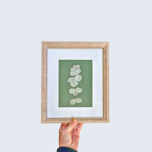 Pressed Eucalyptus