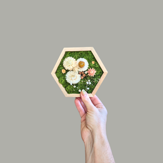 Hexagon Garden