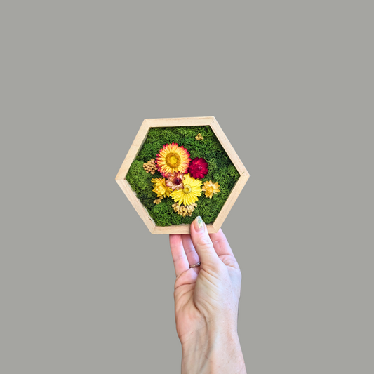Hexagon Garden