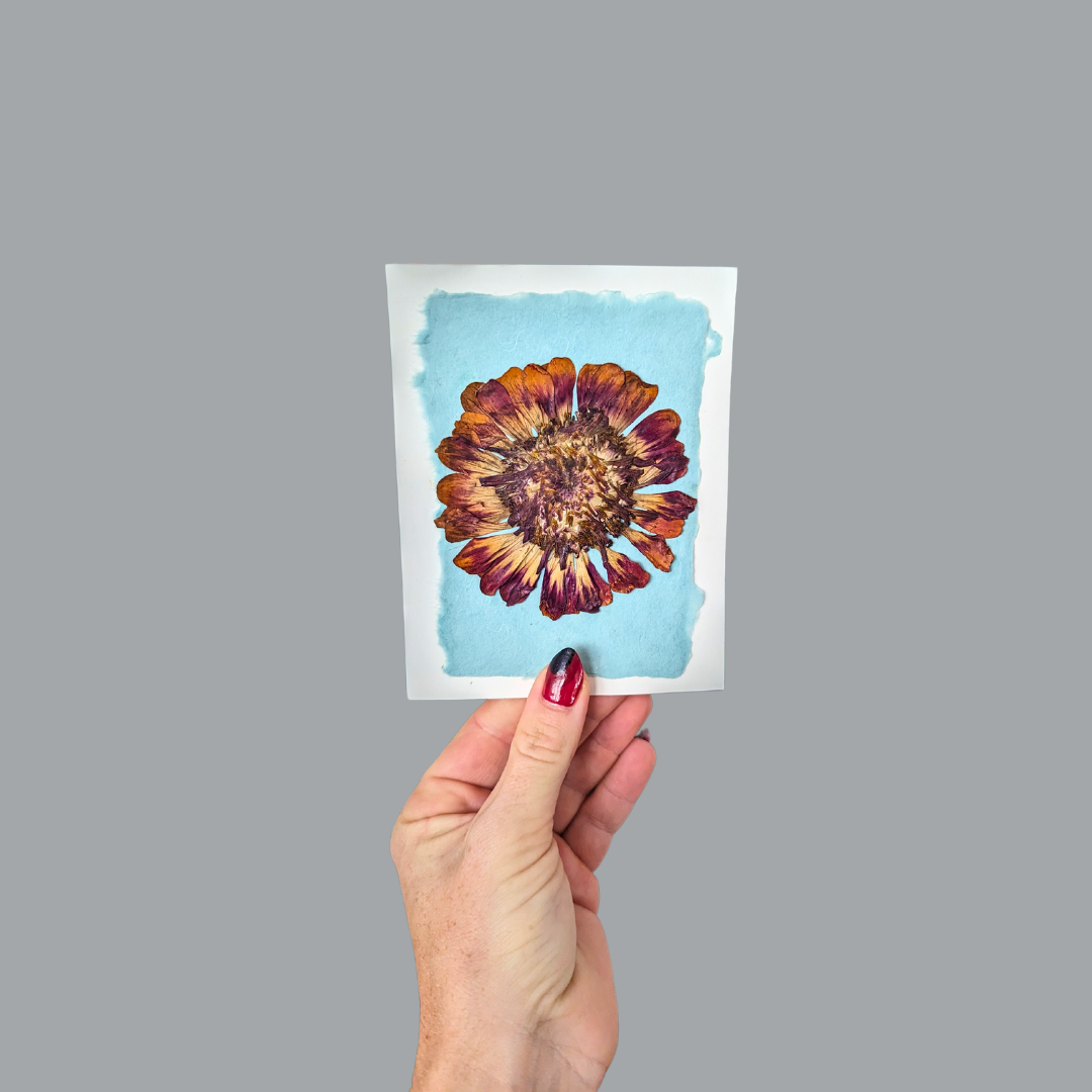 Pressed Flower Greeting Cards (Blank)