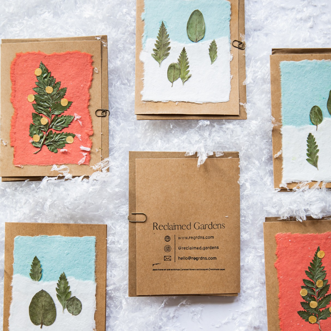Holiday Greeting Cards (Blank)