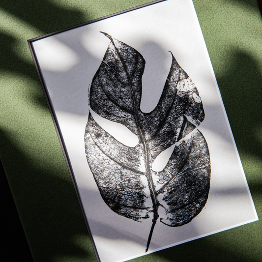 8X10 Botanical Monoprints (Matted)