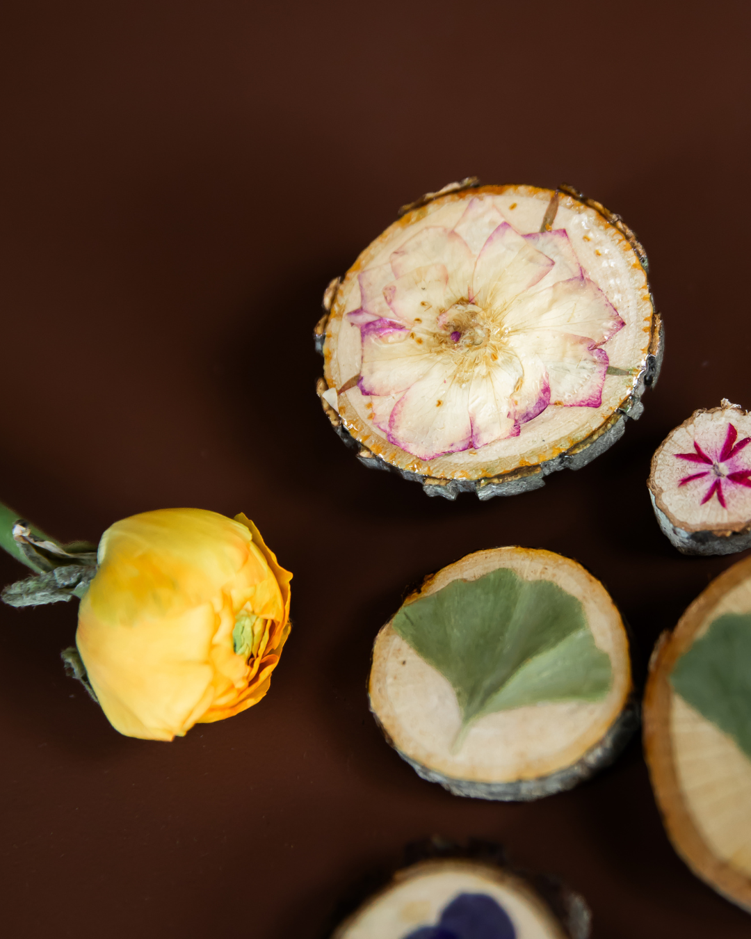 Real Botanical Magnets