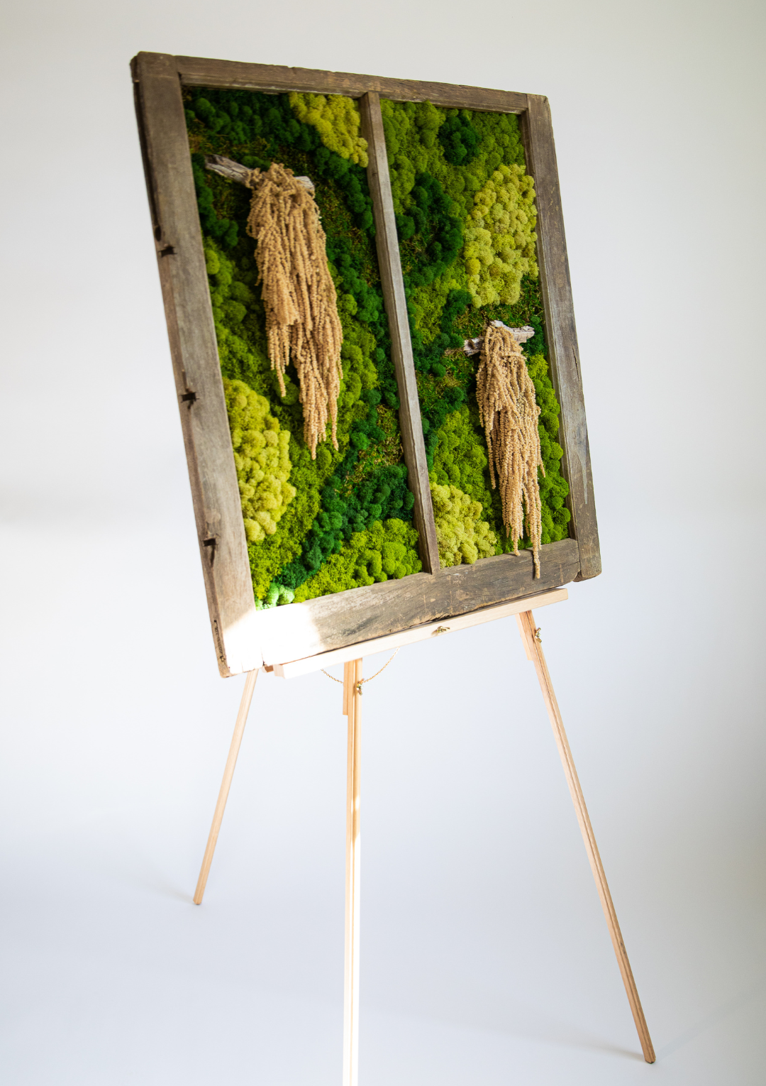 Preserved Moss Amaranthus View