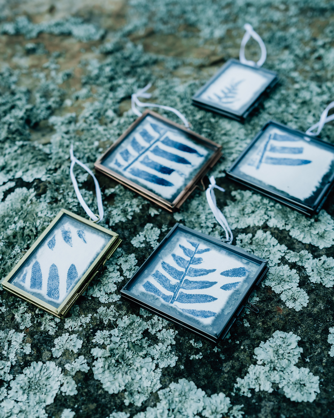 Mini Botanical Monoprints (Framed)