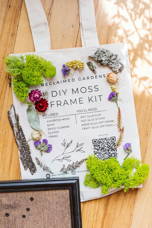 Reusable Bag DIY Moss Art Kit