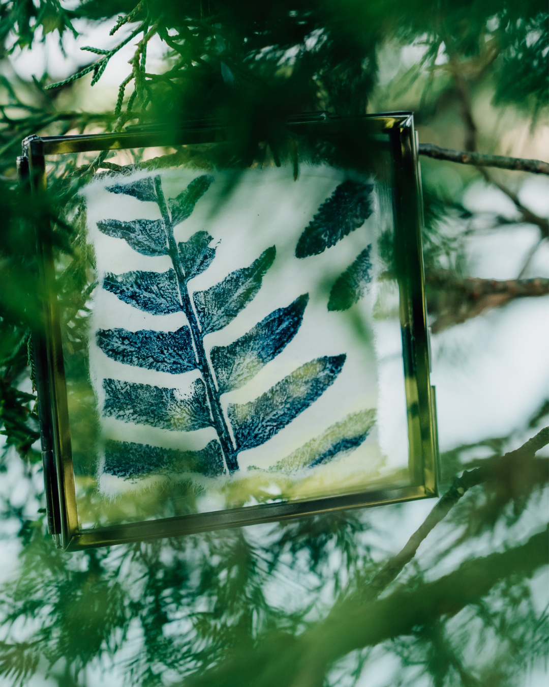 Mini Botanical Monoprints (Framed)