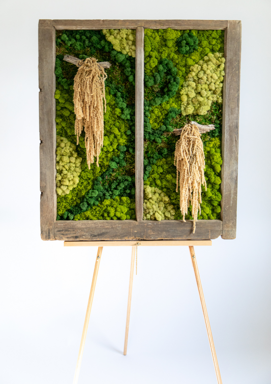 Preserved Moss Amaranthus View