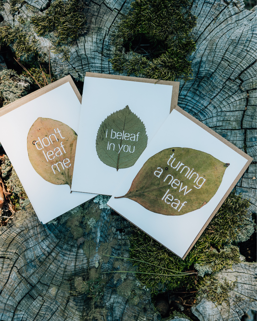 Leaf Note Greeting Cards (Blank)